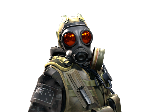 D Squadron Officer
