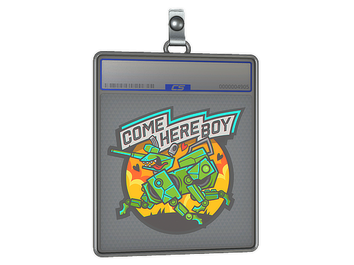 Come Here Boy