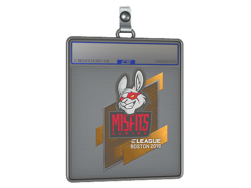 Misfits Gaming | Boston 2018