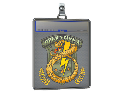 Badge of Service
