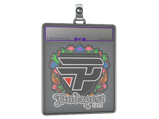 paiN Gaming (Embroidered) | Budapest 2025