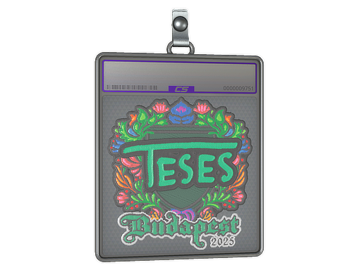 TeSeS (Embroidered) | Budapest 2025