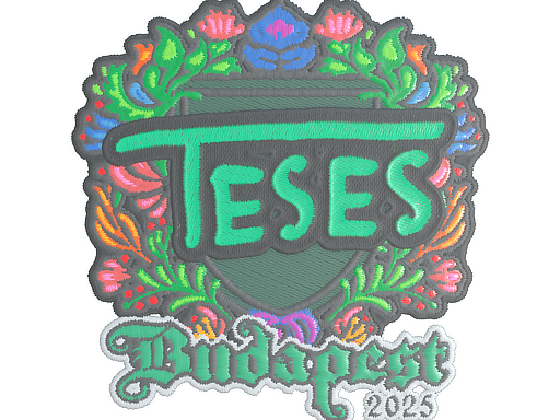 TeSeS (Embroidered)