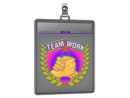 Teamwork (Holo)