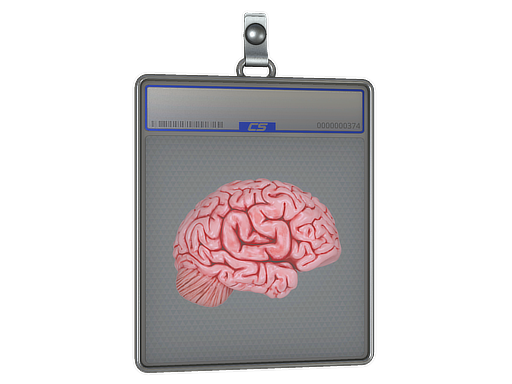 CS On The Mind