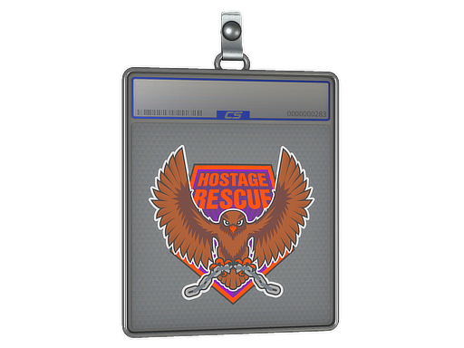 Hostage Rescue