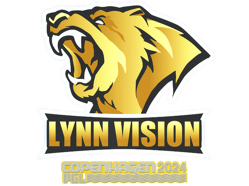 Lynn Vision
