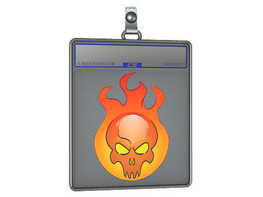 Incineration