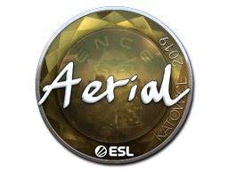 Aerial (Foil)