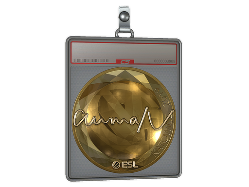aumaN (Gold) | Katowice 2019