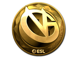 ViCi Gaming (Gold)