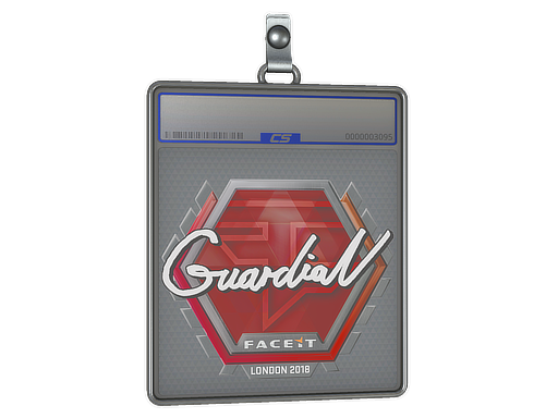 GuardiaN | Boston 2018