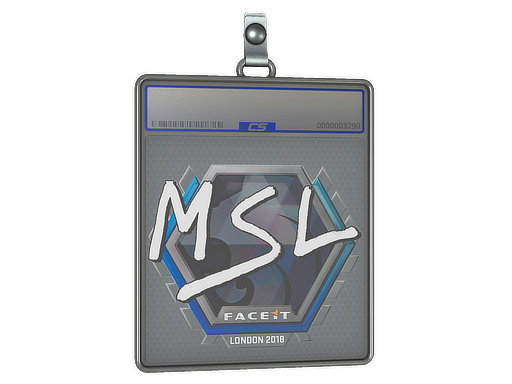 MSL | Krakow 2017