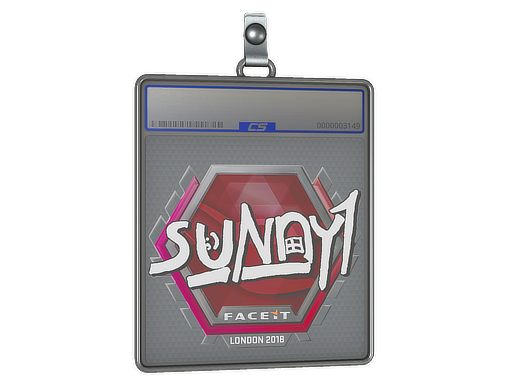 suNny | Boston 2018