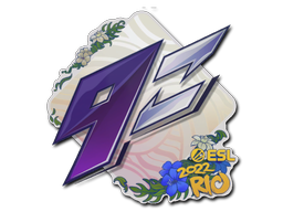 9z Team