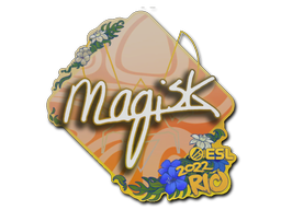 Magisk
