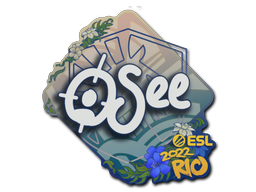oSee