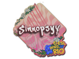 sinnopsyy