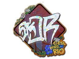 sk0R (Glitter)