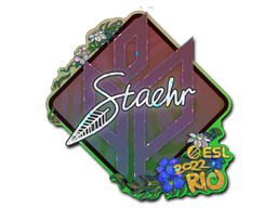 Staehr (Glitter)