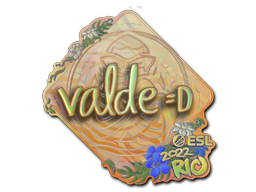 v4lde (Holo)
