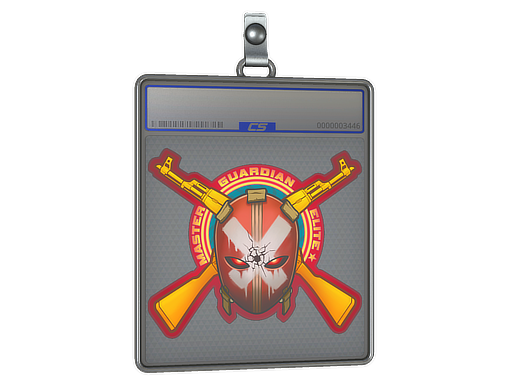 Master Guardian Elite
