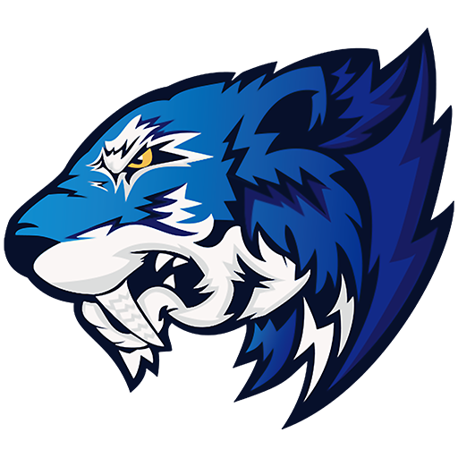 Flash Gaming